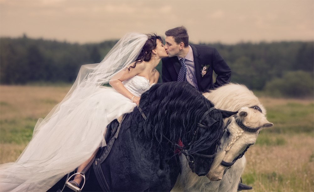 Конь жених. Свадебная фотосессия с лошадьми. Жених и невеста на лошадях. Фотосессия свадьба на лошадях. Свадебная фотосессия с лошадьми летом.
