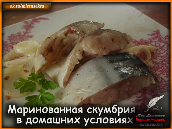 Думаю, многие любят вкусную маринованную скумбрию, но не все умеют ее готовить. Хотелось бы поделиться простым рецептом, благодаря которому можно легко получить ароматную, маринованную скумбрию в домашних условиях. 
Рецепт смотрите тут - http://mirznaek.ru/dir/51-1-0-1783