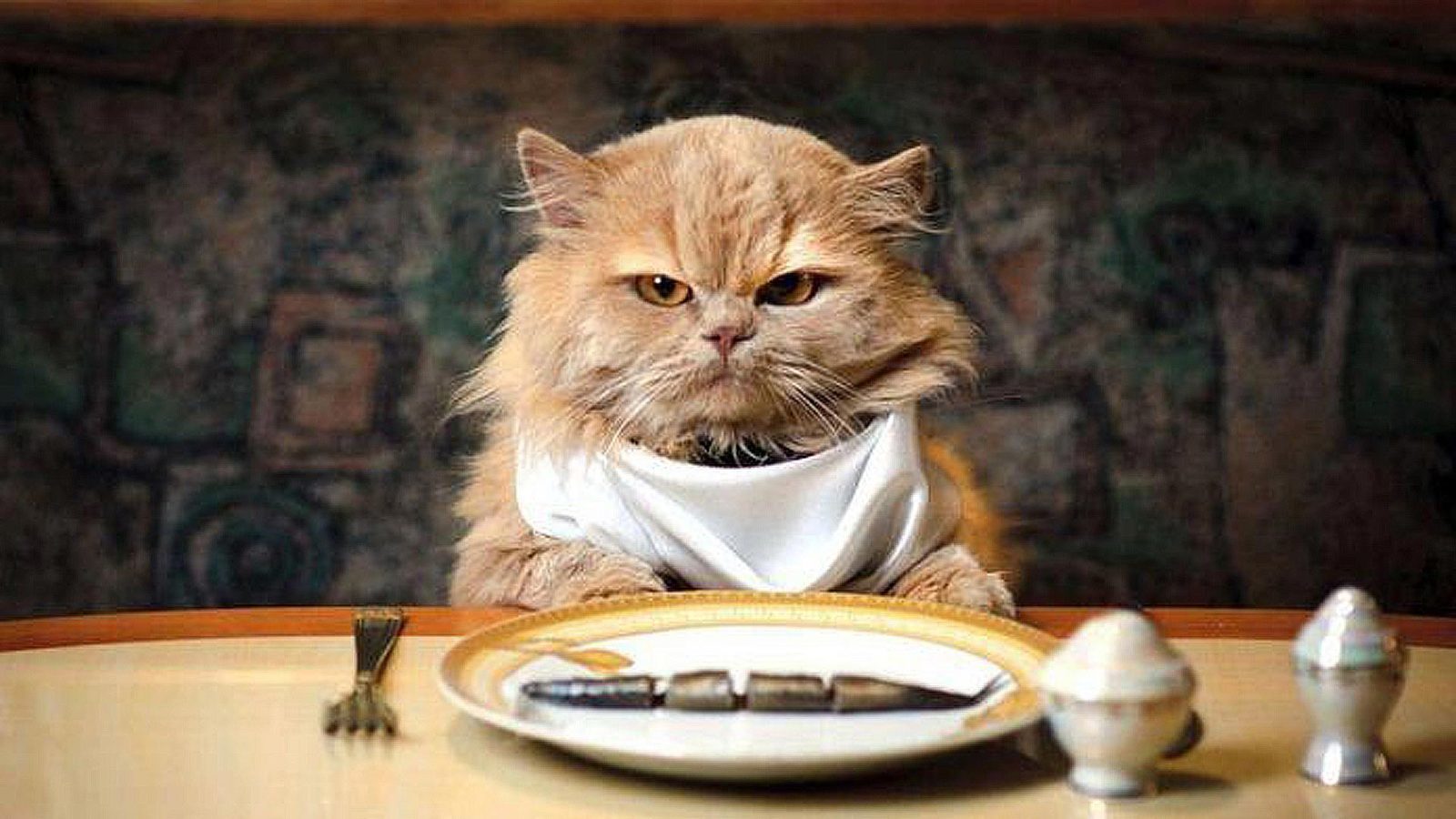 После обеда хозяин. Голодный кот. Кот в тарелке. Кот за столом. Кот кушает.