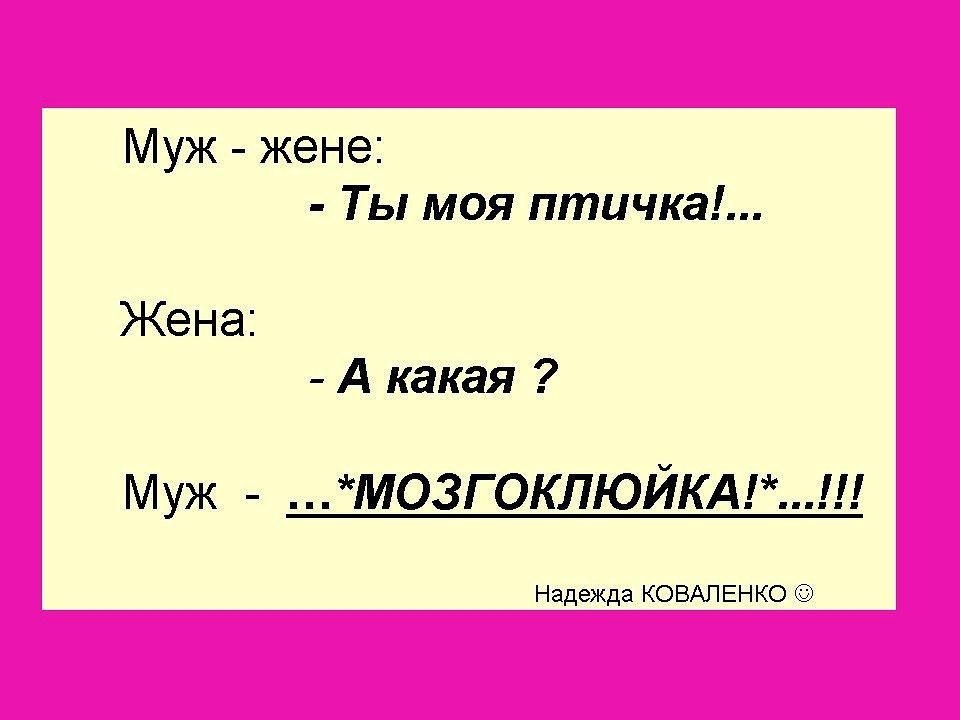 Заябусечка ты моя картинка