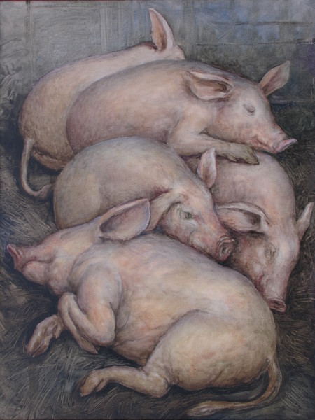 Известные свиньи. Свинья живопись. Поросенок живопись. Европейская свинья.