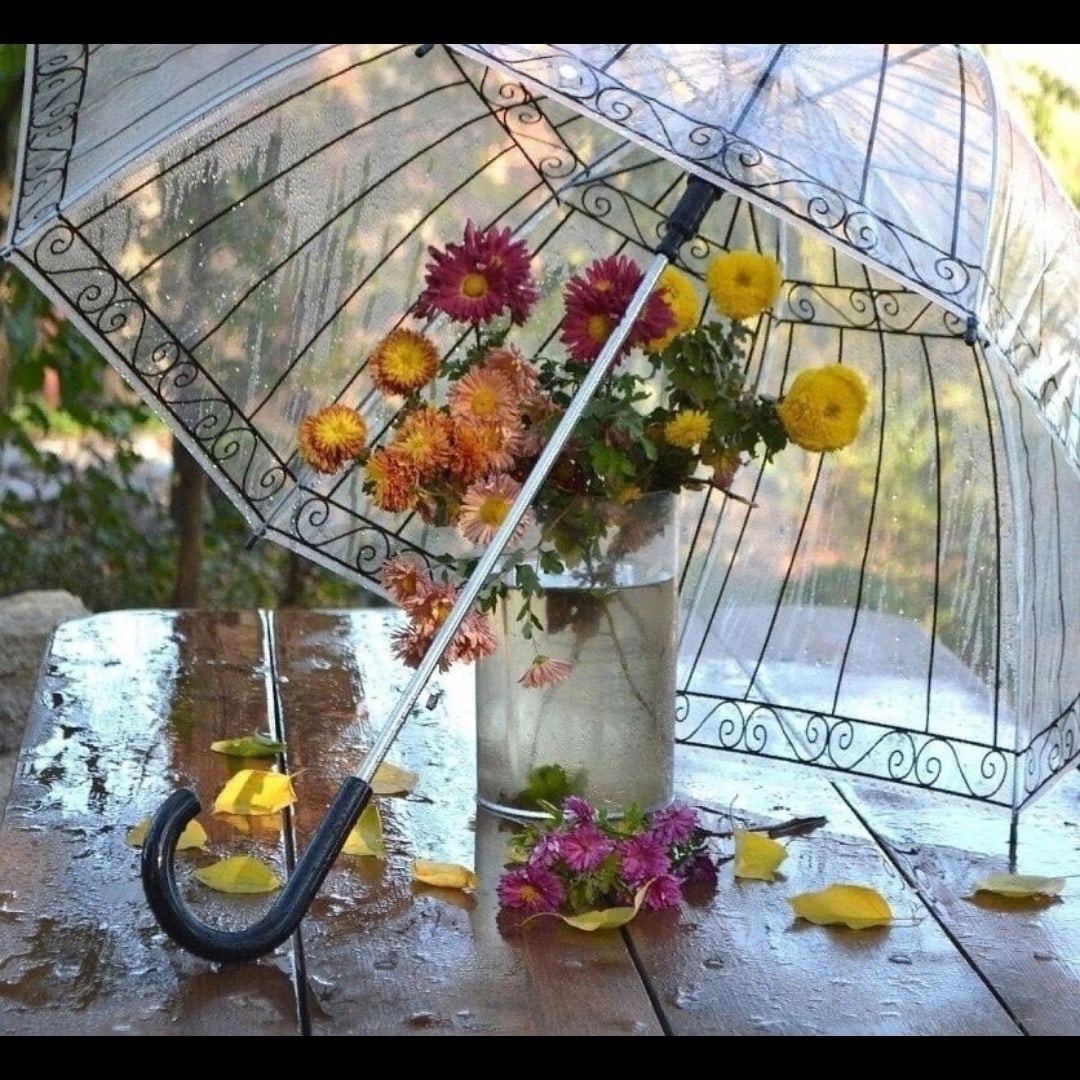 Цветы под зонтом