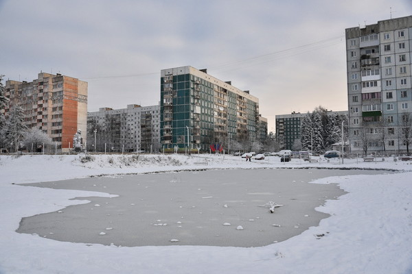 Пруд у Аллеи Памяти сегодня.