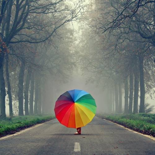 Радужный большой зонт
997 руб.
http://ali.pub/23k2m1