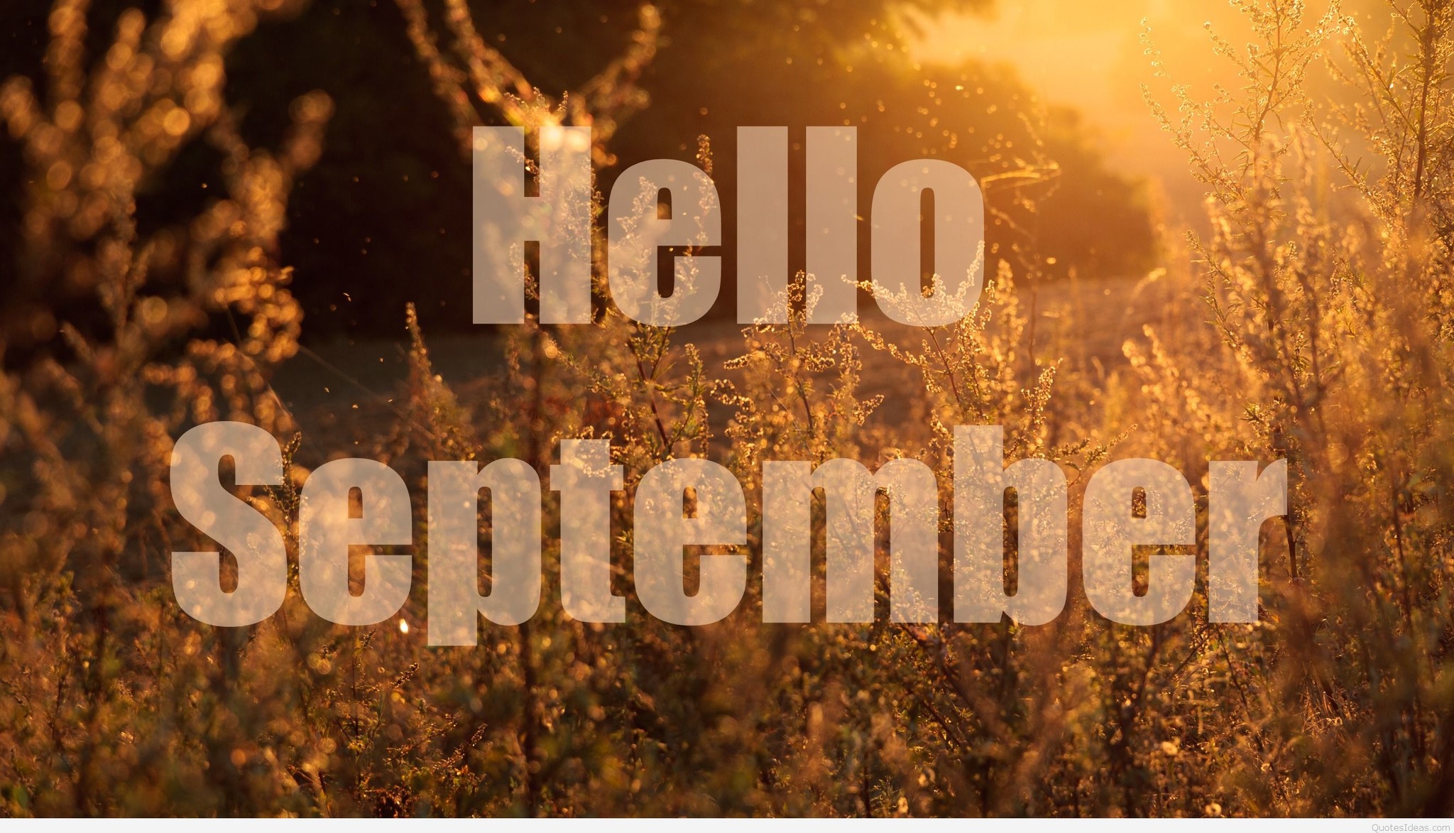 Hello September