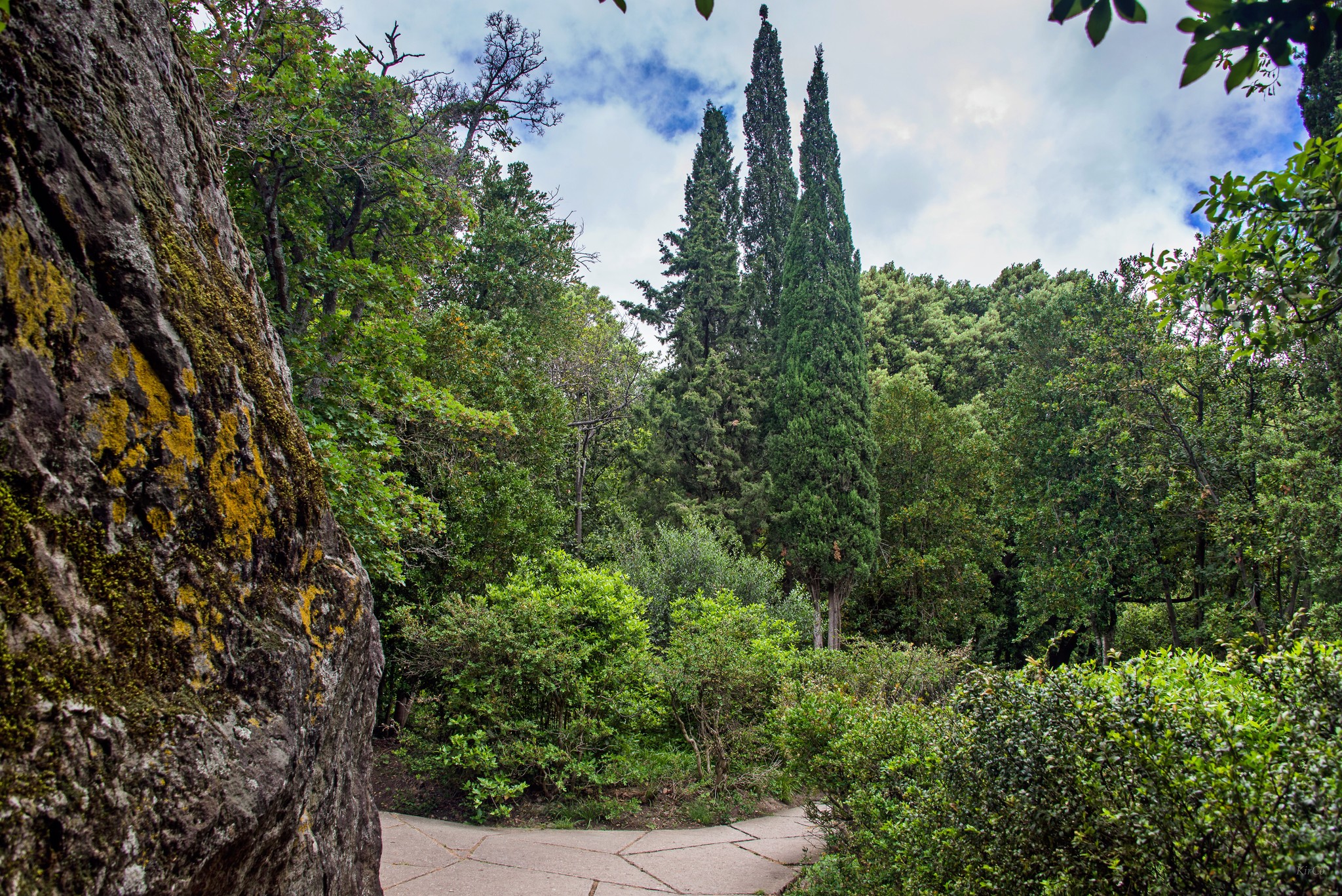 Алупка Парк Фото