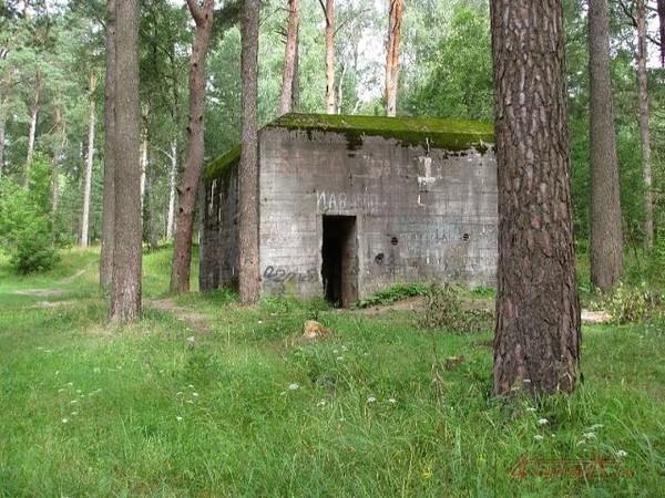 Бункер гитлера в смоленске фото Фото Бункер Гитлера в Красном Бору Смоленский район, Это было под Смоленском 194