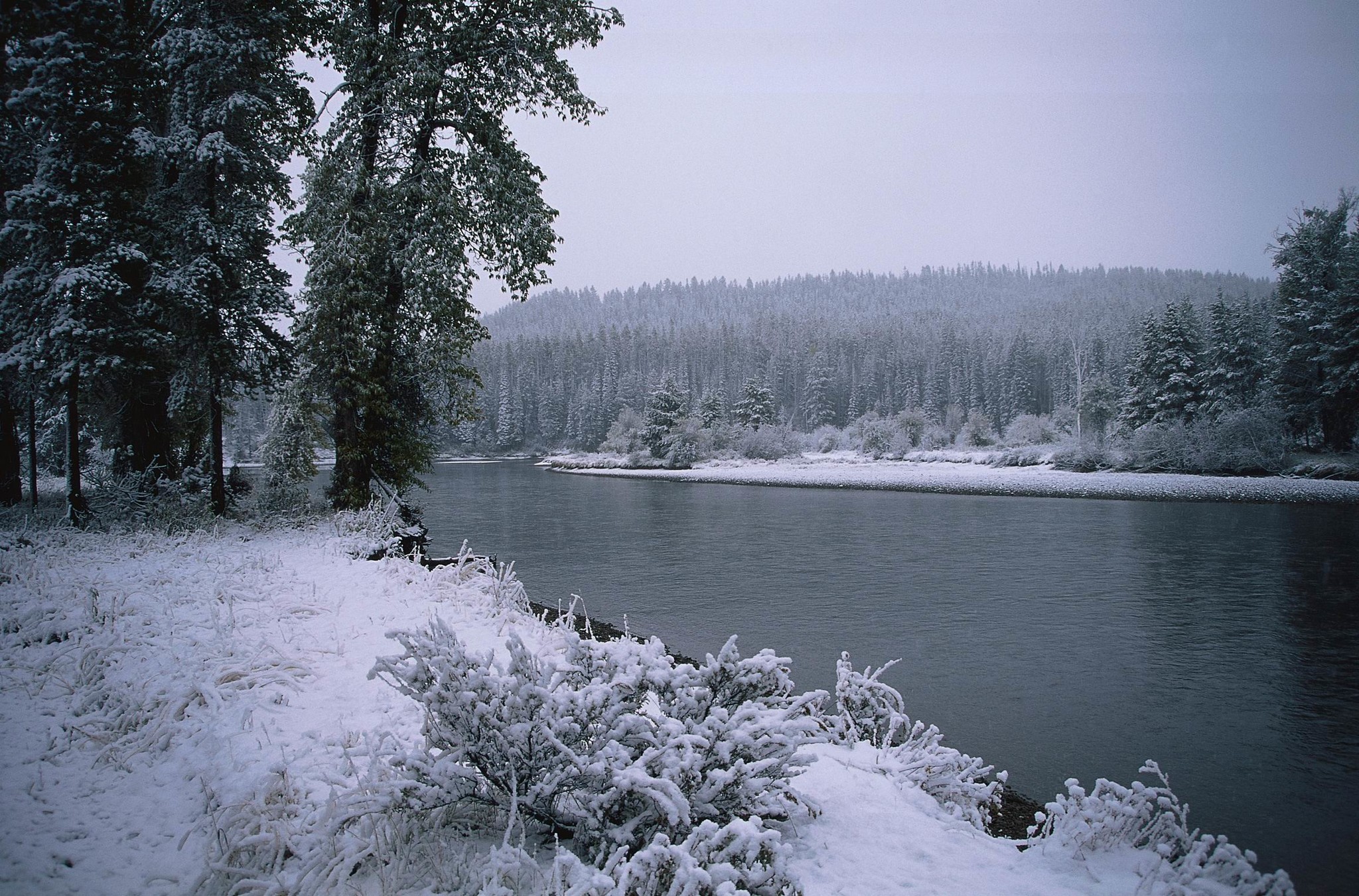 Зима на берегу озера. Зима река. Зимний берег реки. Зимняя речка. Берег реки зимой.